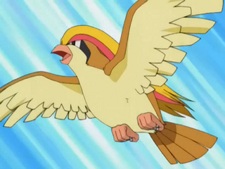 evolucion-de-pidgey-ataque-pidgeot